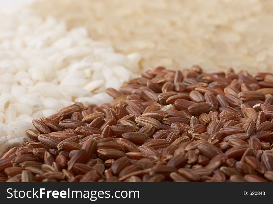 Close-up Of Rice (macro, Three Colors)