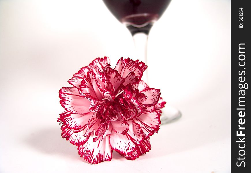 Carnation Wine Glass