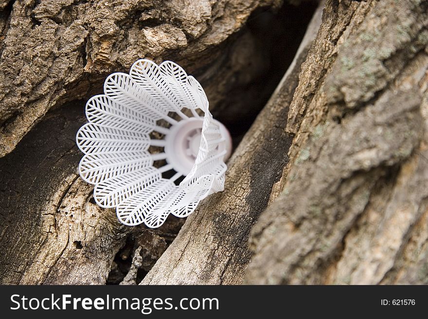 Shuttlecock stuck in tree