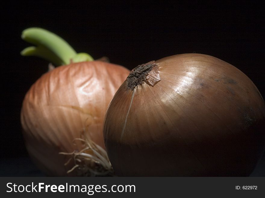 Onions on the black background. Onions on the black background