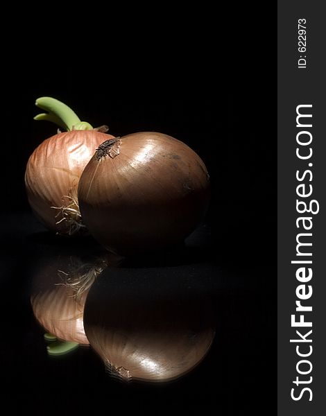 Shoot of two onions with reflex