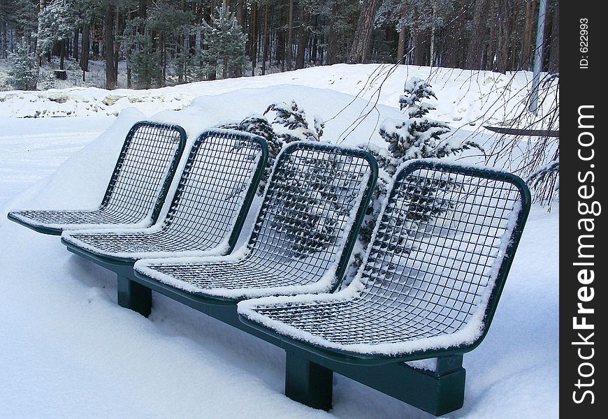 Bench covered with snow