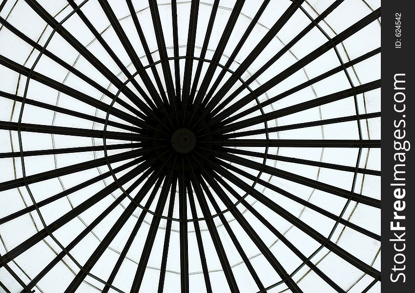 Glass dome ceiling.Botanical Gardens,Buffalo,New York. Black and white