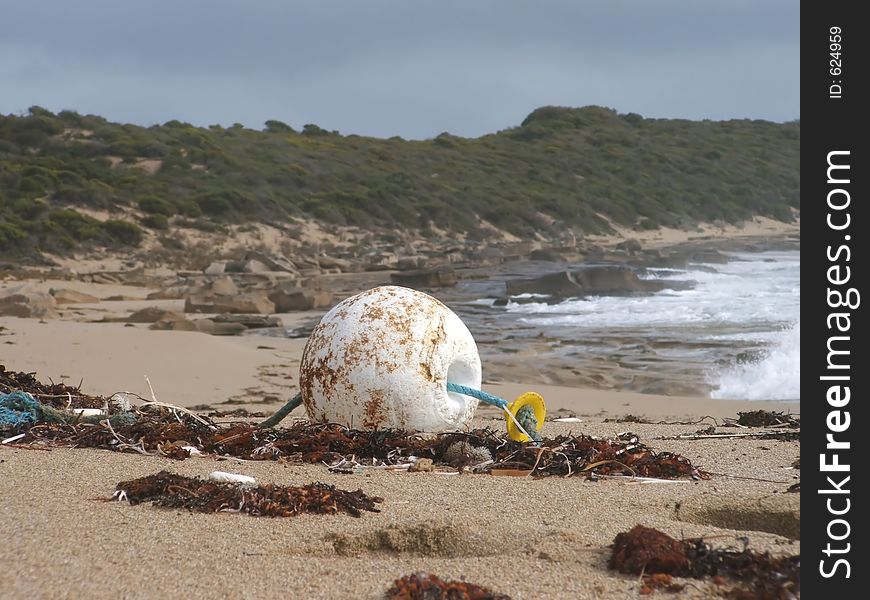 This buoy washed up on an isolated beach during rough weather. This buoy washed up on an isolated beach during rough weather.
