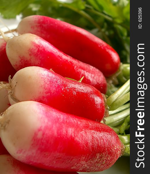 Radish close up