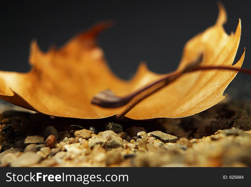 Leaf and sand with lighting from above. Leaf and sand with lighting from above.