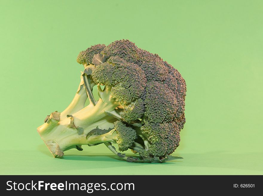 Head of broccoli