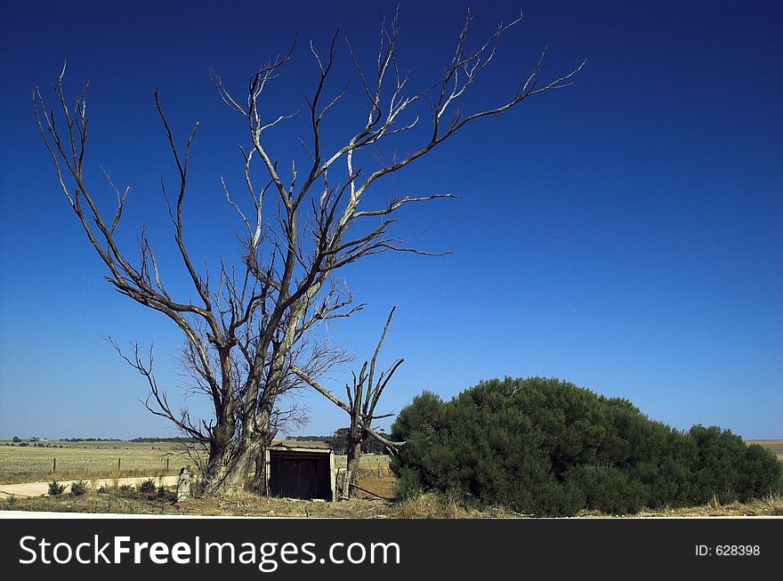 A rural school bus shelter on the Yorke Peninsula, South Australia. A rural school bus shelter on the Yorke Peninsula, South Australia.