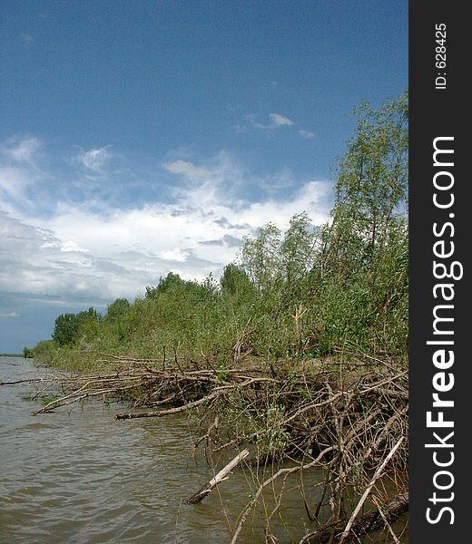 Wood and river, Astrakhan, Russia