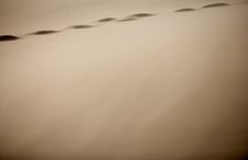 Close Up Of Rolling Sand Dunes Stock Photography Close Up Of Rolling Sand Dunes Stock Photography