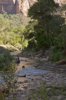 Virgin River At Zion National Park Stock Photos