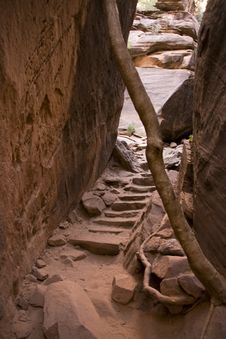 Stone Stairs At Zion NP Royalty Free Stock Image