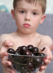 The Boy Holds A Bowl With Berries In Hands Stock Image The Boy Holds A Bowl With Berries In Hands Stock Image