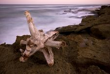 Seascape With White Log Royalty Free Stock Photo