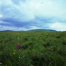 Grassland Royalty Free Stock Image Grassland Royalty Free Stock Image
