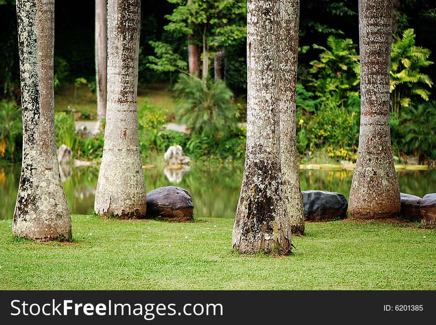 Beautiful scene of tropical garden in Xi Shuang Ban Na in Yunnan province of China.