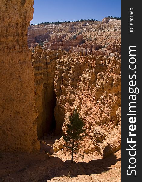 Bryce Canyon