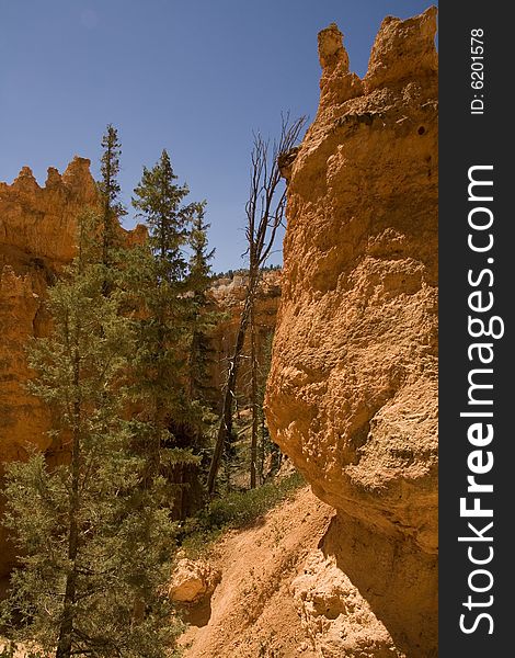 View of the Navajo Trail at Bryce Canyon