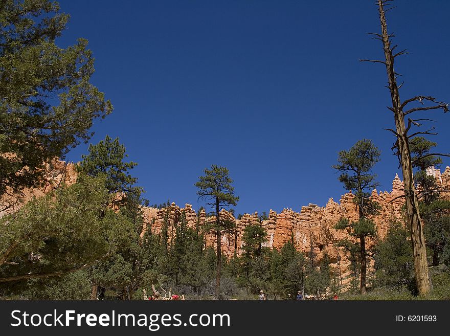 A shot looking at some hoodoos at Bryce Canyon Utah.