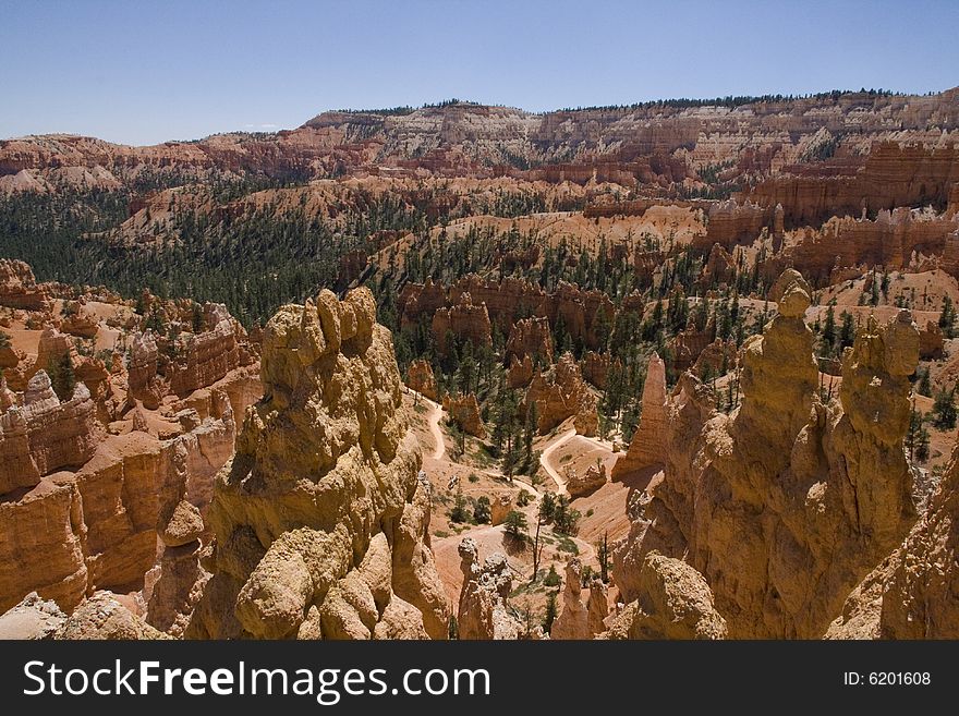 Spires, hoodoos, and trees at Bryce Canyon