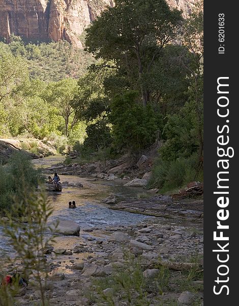 Virgin River At Zion National Park