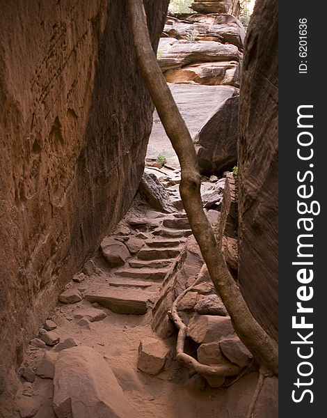 Stone stairs on the Emerald Trail at Zion National Park. Stone stairs on the Emerald Trail at Zion National Park