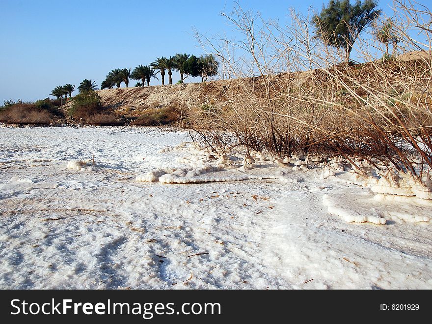 Salt on coast of Dead Sea, Israel. Salt on coast of Dead Sea, Israel