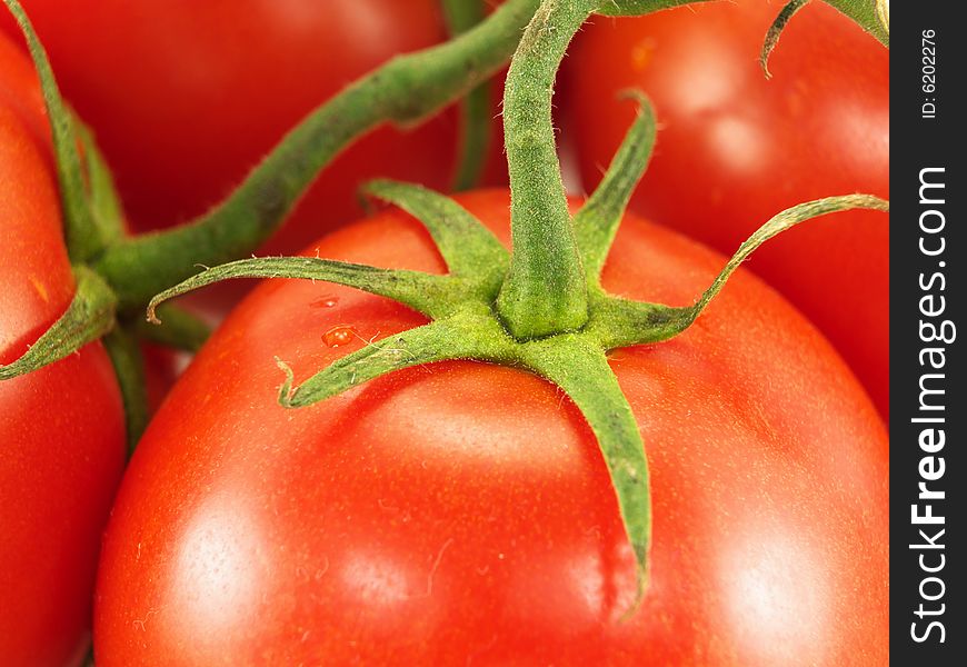 Close up tomato stem  and fruit. Close up tomato stem  and fruit