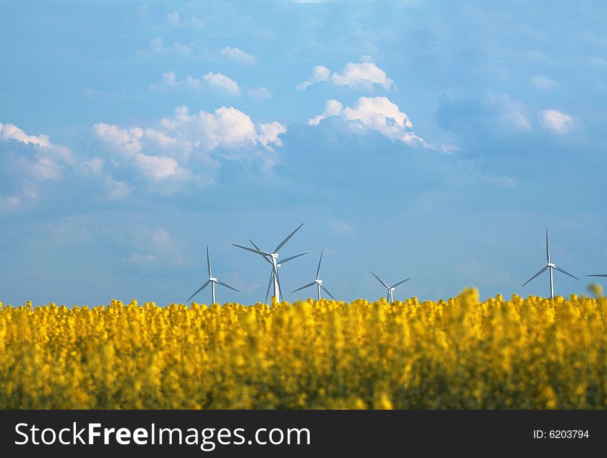 Big windmills on the yellow meadow. Big windmills on the yellow meadow