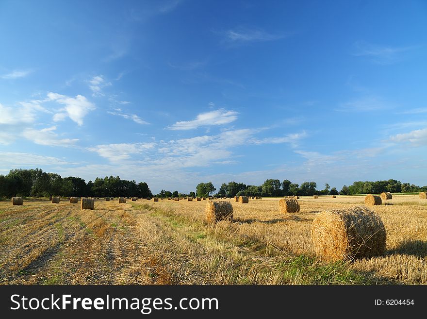 Straw Bales On Farmland With Blue Cloudy Sky