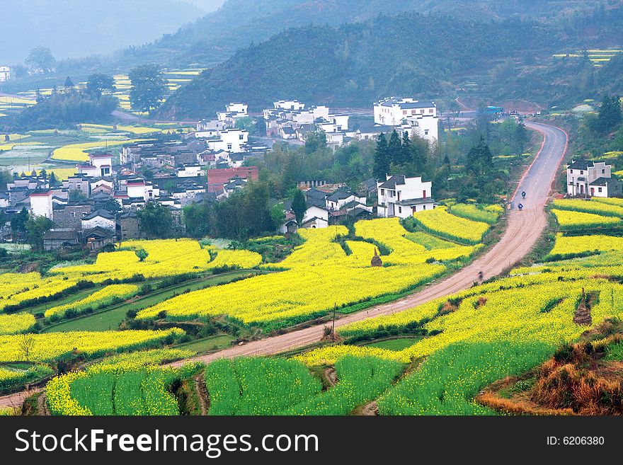 This is a chinese village in the spring. This is a chinese village in the spring