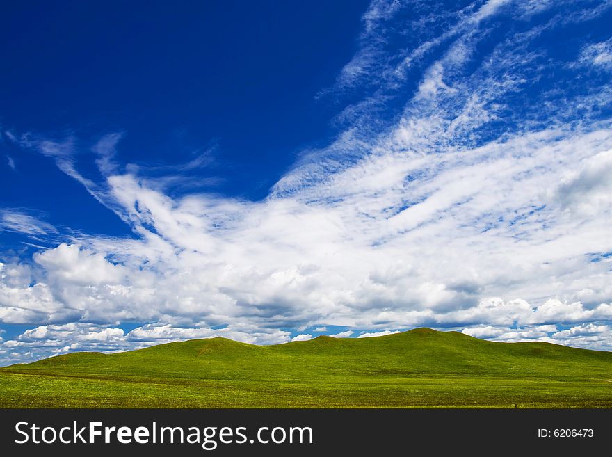 Meadow, the blue sky and white clouds. Meadow, the blue sky and white clouds