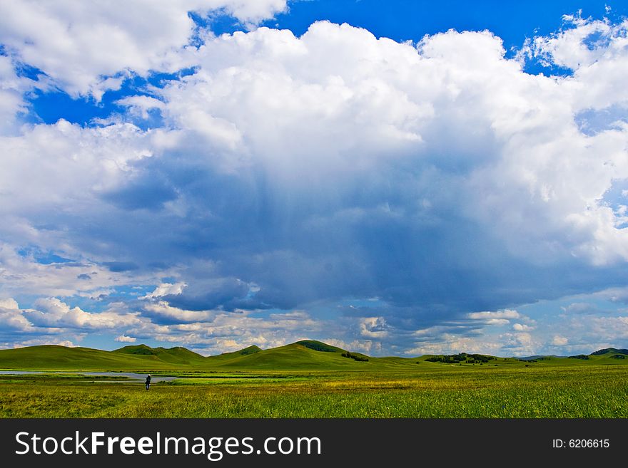 Meadow, the blue sky and white clouds. Meadow, the blue sky and white clouds