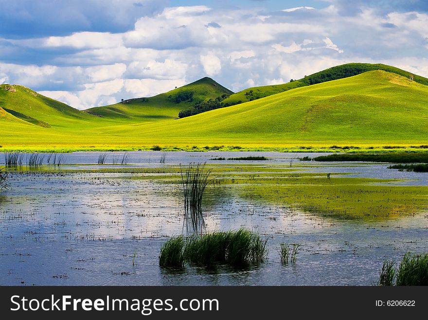 Meadow, the blue sky and white clouds,lake. Meadow, the blue sky and white clouds,lake