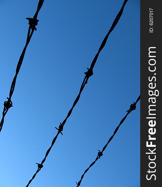 Crooked barbed wire is etched against a cobalt blue sky