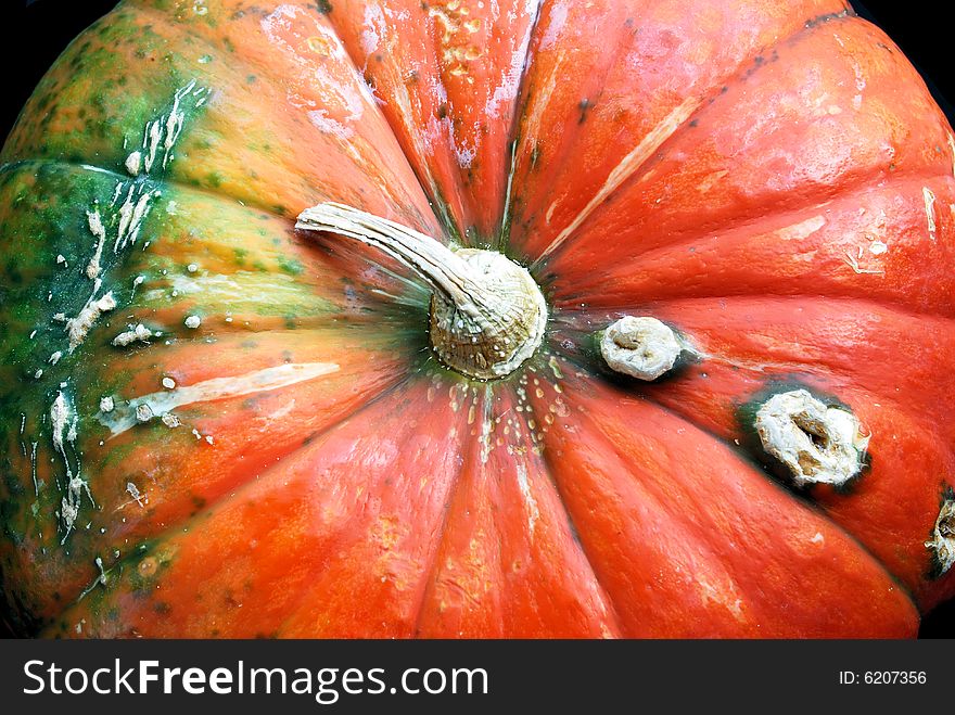 Close up of colorful pumpkin