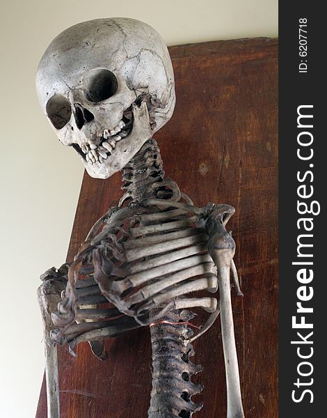 Antique Medical Skeleton