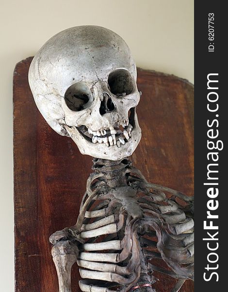 Detail of an antique medical skeleton photographed at the Prinsenhof museum of Delft, Netherlands.