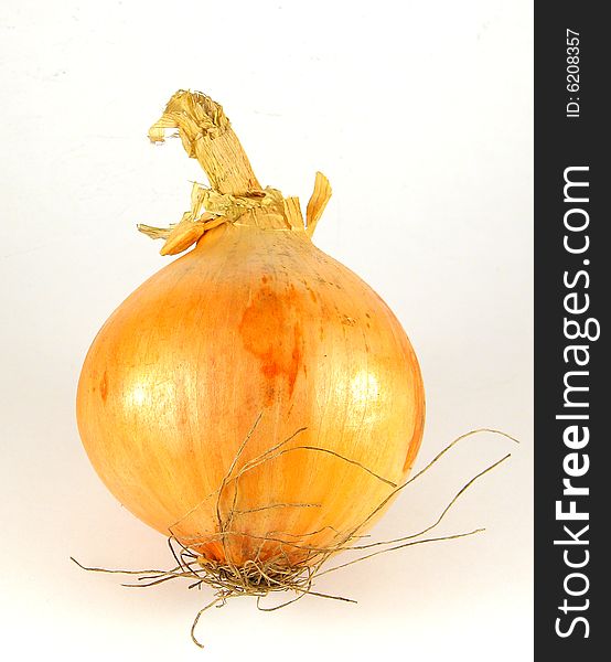 A close up of fresh onion isolated on white background