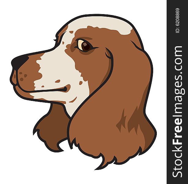 Cartoon illustration of a spaniel face