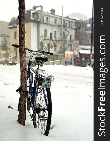 Bike covered in snow, montreal. Bike covered in snow, montreal.