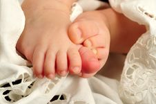 Baby Feet Royalty Free Stock Photography Baby Feet Royalty Free Stock Photography