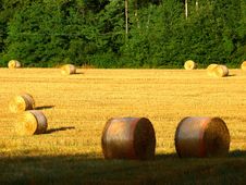 Field With Hay S Rolls Stock Images Field With Hay S Rolls Stock Images