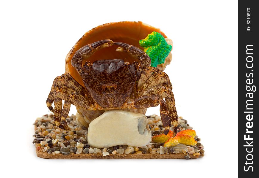 Souvenir Crab And Conch, Copy-space On Stone