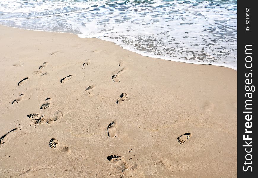 The footsteps on the sand.