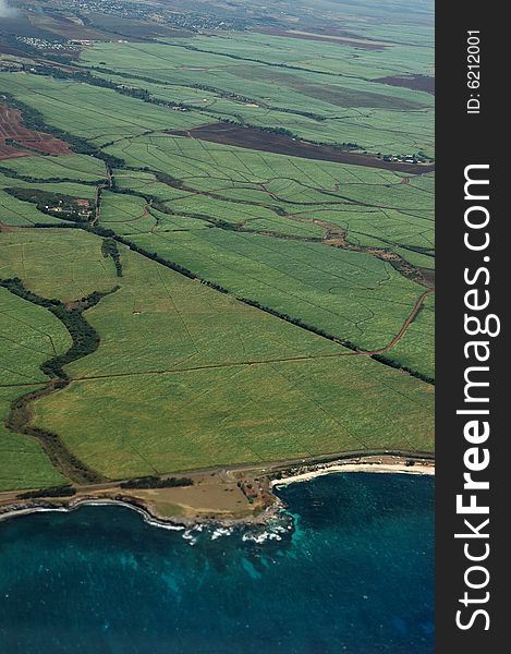 An overhead view of green farmland fields in Hawaii with the blue ocean shoreline