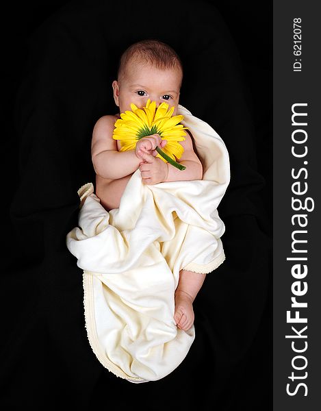 A little cute baby portrait with yellow flower. A little cute baby portrait with yellow flower
