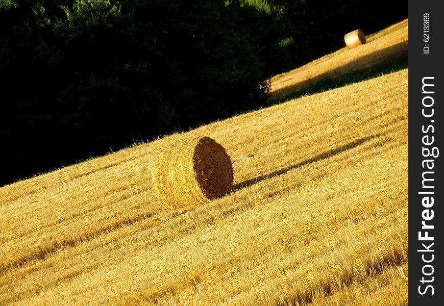 A suggestive shot of an hay's rool in a golden field in Tuscany. A suggestive shot of an hay's rool in a golden field in Tuscany