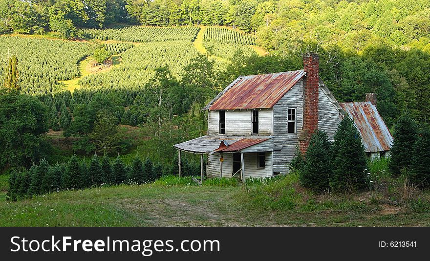 Old House in front of a Christmas tree farm in the mountains