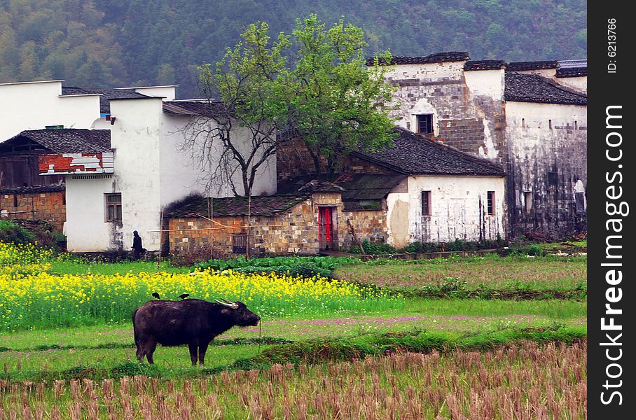 Chinese village